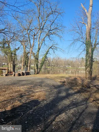 a view of yard with trees