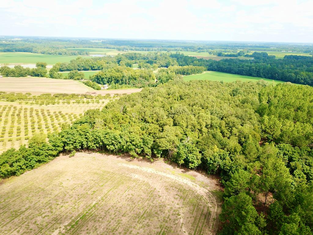 10.69-acres Summer Road Slocomb, AL 36375 - Photo 33 of 51
