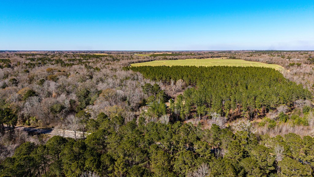 0 Bruner Pond Road Ashford, AL 36312 - Photo 10 of 30