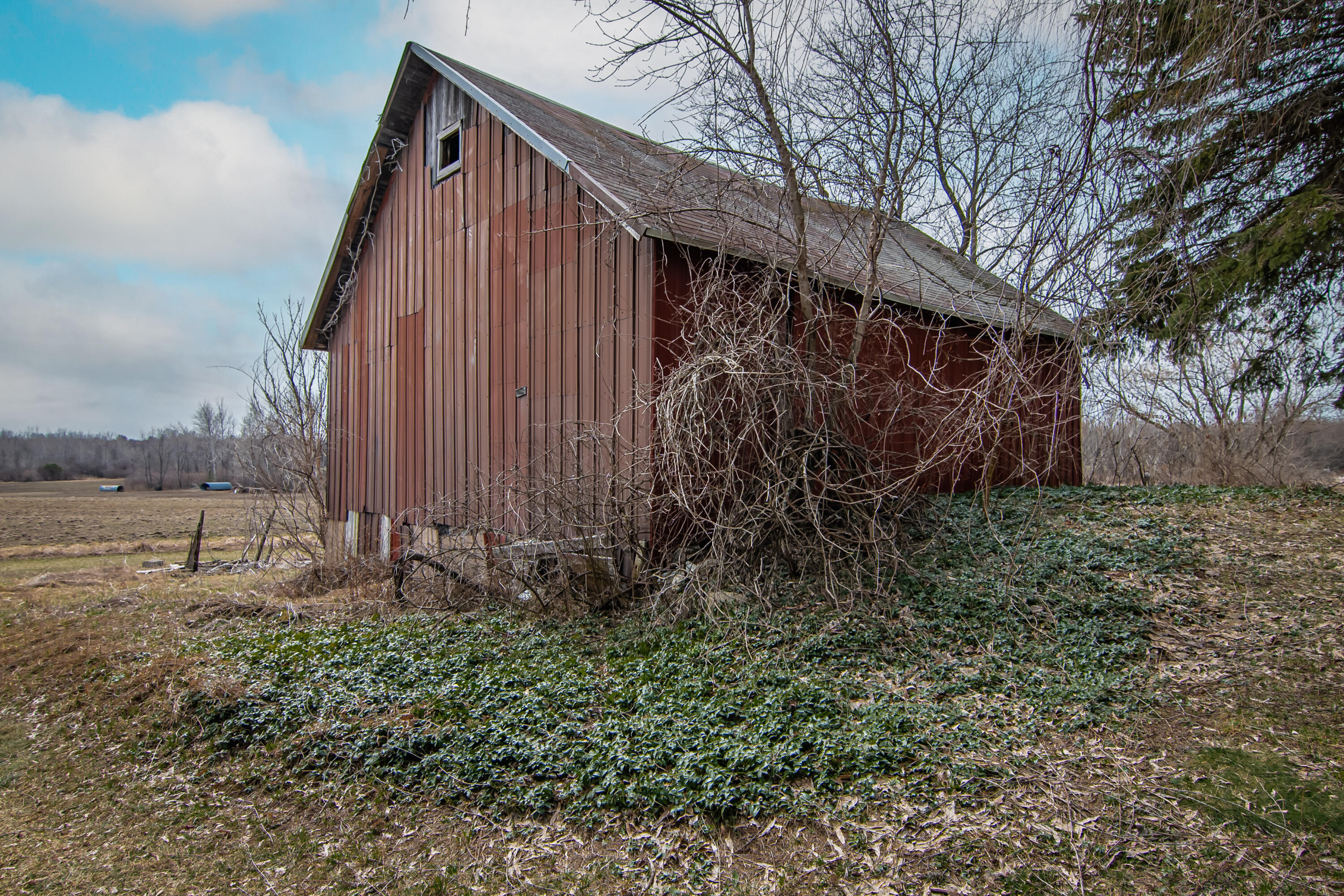 2497 West Lever Road Hart, MI 49420 - Photo 33 of 47 barn2