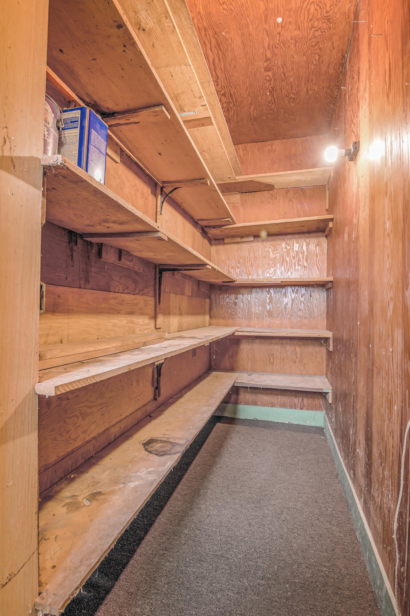 2497 West Lever Road Hart, MI 49420 - Photo 44 of 47 storage