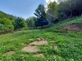 1532 Grassy Spur Road Bandy, VA 24602 - Photo 19 of 46 Gallery Image 19