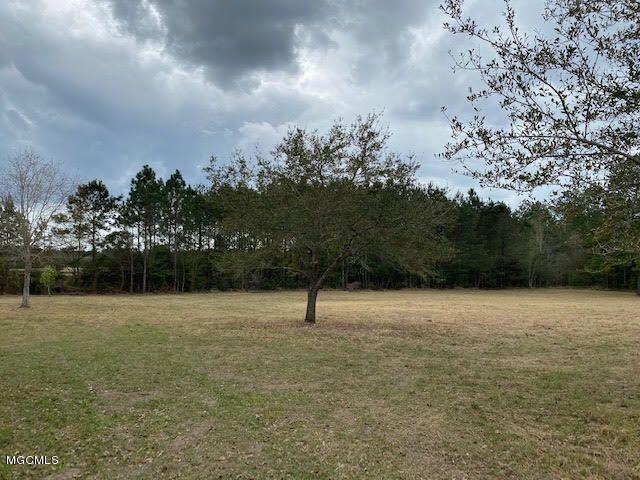 7.5-acres John Smith Road Vancleave, MS 39565 - Photo 2 of 3 johnsmith3