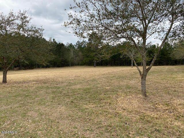 7.5-acres John Smith Road Vancleave, MS 39565 - Photo 3 of 3 johnsmith2