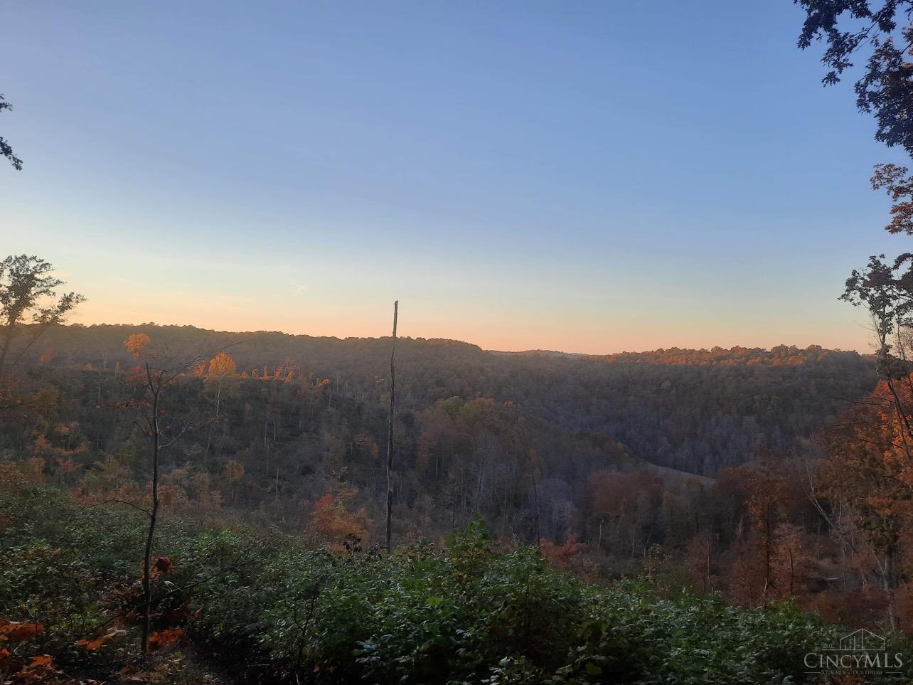 0 Reel Ridge Road Stout, OH 45684 - Photo 2 of 49
