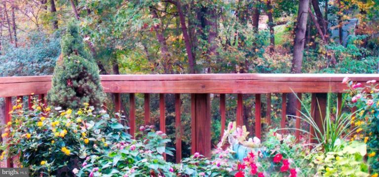 11503 Buttonwood Court Reston, VA 20191 - Photo 15 of 24 backing into trees