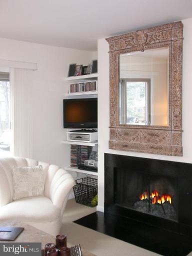 11503 Buttonwood Court Reston, VA 20191 - Photo 4 of 24 Fireplace