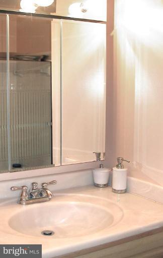11503 Buttonwood Court Reston, VA 20191 - Photo 8 of 24 Master Bathroom
