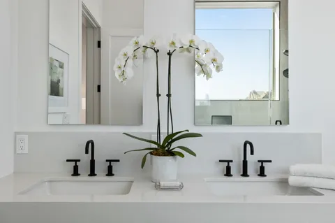 a bathroom with a sink a mirror and a potted plant