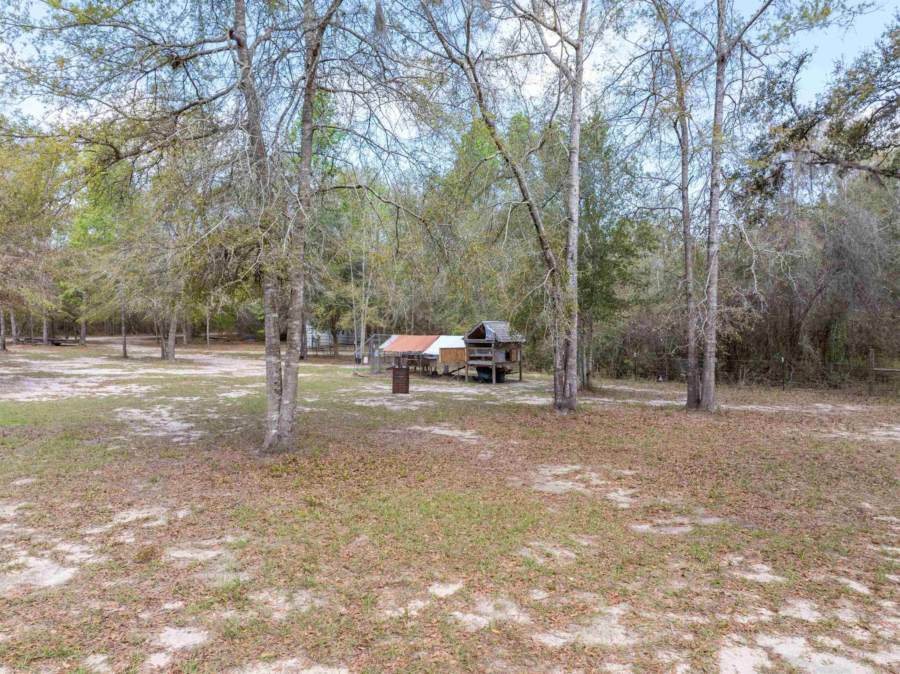 572 Northeast Oak Hill Road Pinetta, FL 32350 - Photo 38 of 48 Gallery Image 38