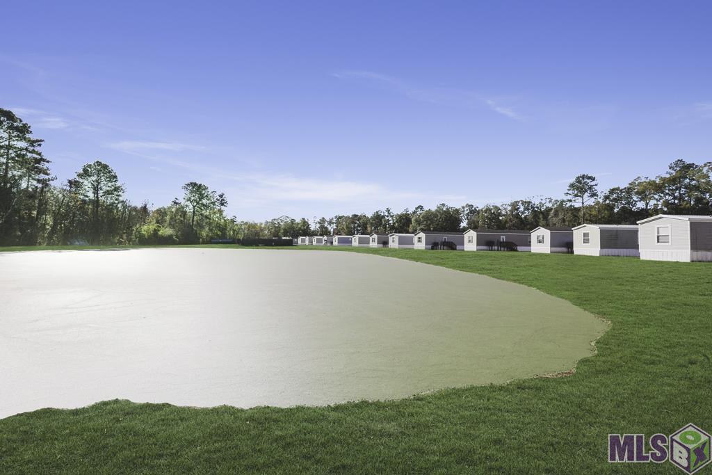 14401 Courtney Road, Unit 36 Walker, LA 70785 - Photo 4 of 21