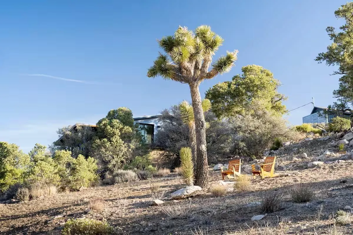 48311 Burns Canyon Road Pioneertown, CA 92268 - Photo 45 of 52 a front view of a house with a yard and covered with trees
