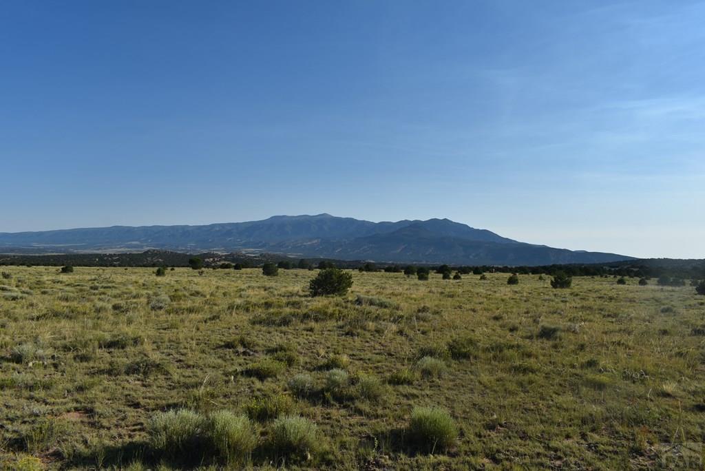 0 Lizard Lane Gardner, CO 81040 - Photo 10 of 11 a view of an outdoor space and mountain view