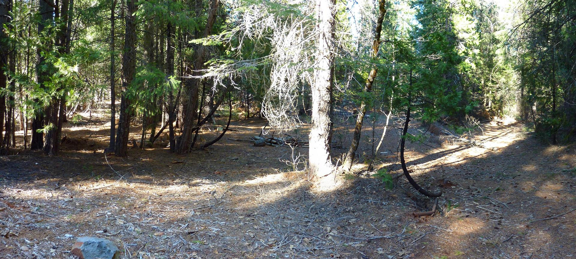 2.4-acres Harbin Ridge Road Shingletown, CA 96088 - Photo 4 of 12 pad