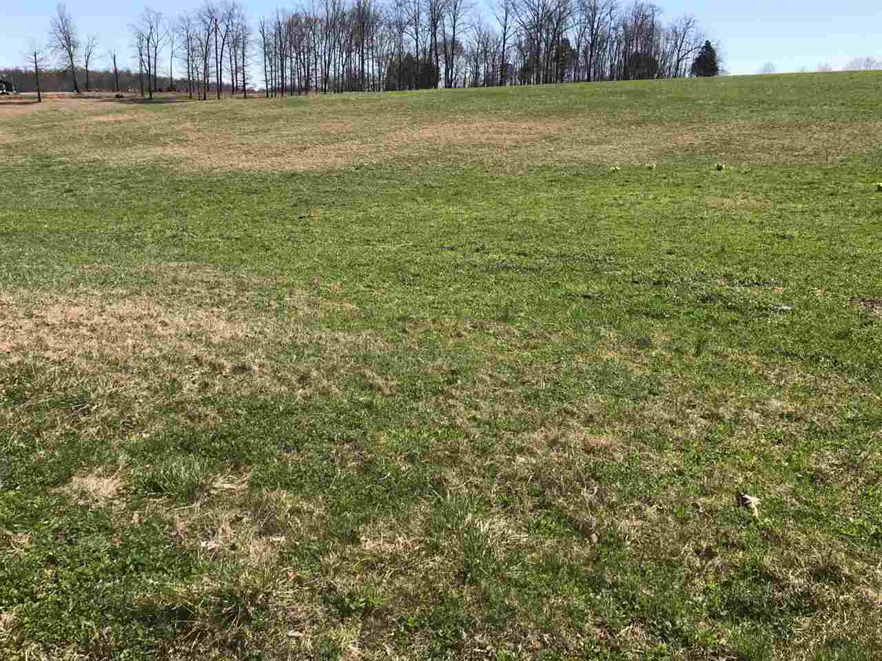 500 Joe Shelton Road Adolphus, KY 42120 - Photo 2 of 5 Gallery Image 2