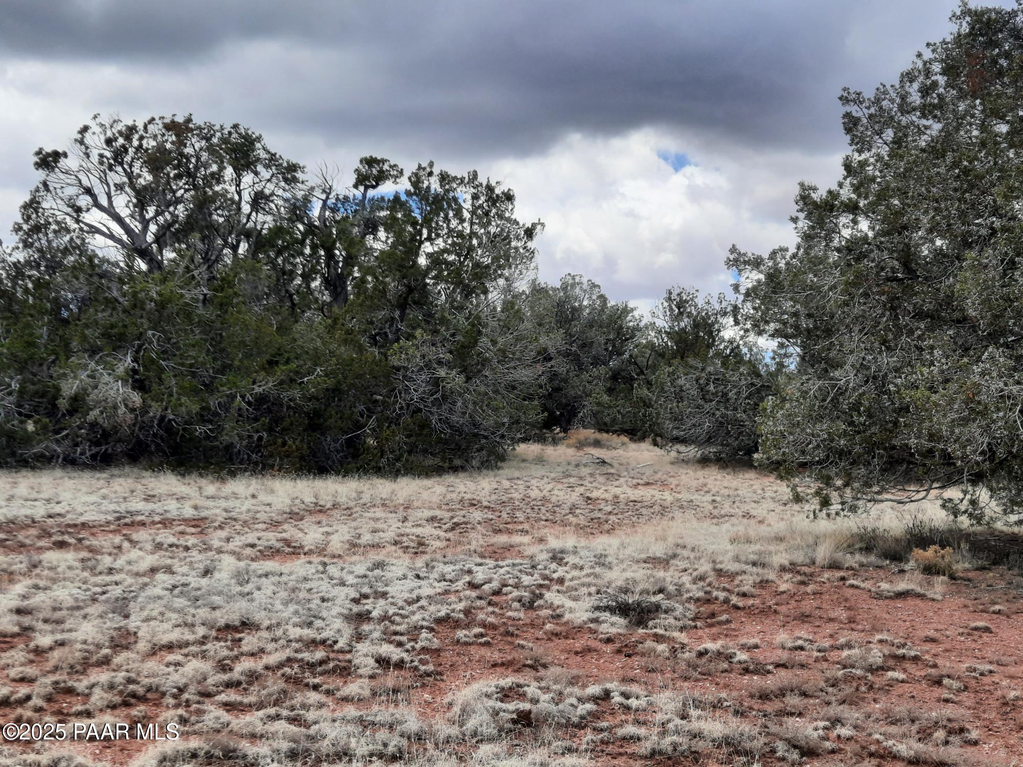 55660 La Bruja Road Seligman, AZ 86337 - Photo 3 of 9 20240325_130454