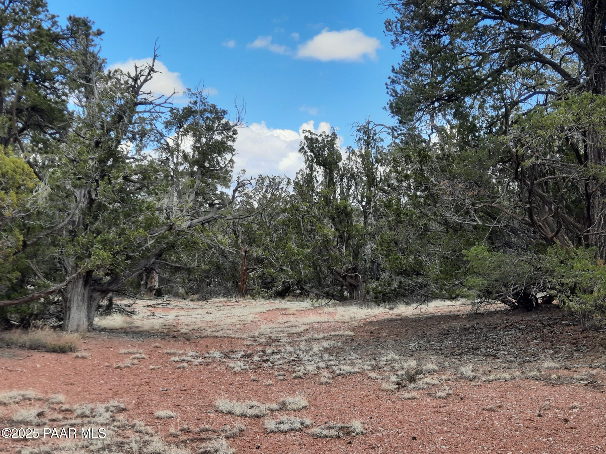 55660 La Bruja Road Seligman, AZ 86337 - Photo 4 of 9 20240325_125910