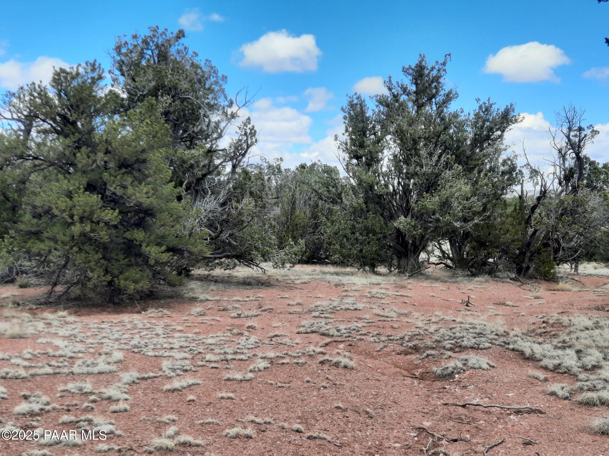 55660 La Bruja Road Seligman, AZ 86337 - Photo 5 of 9 20240325_125929