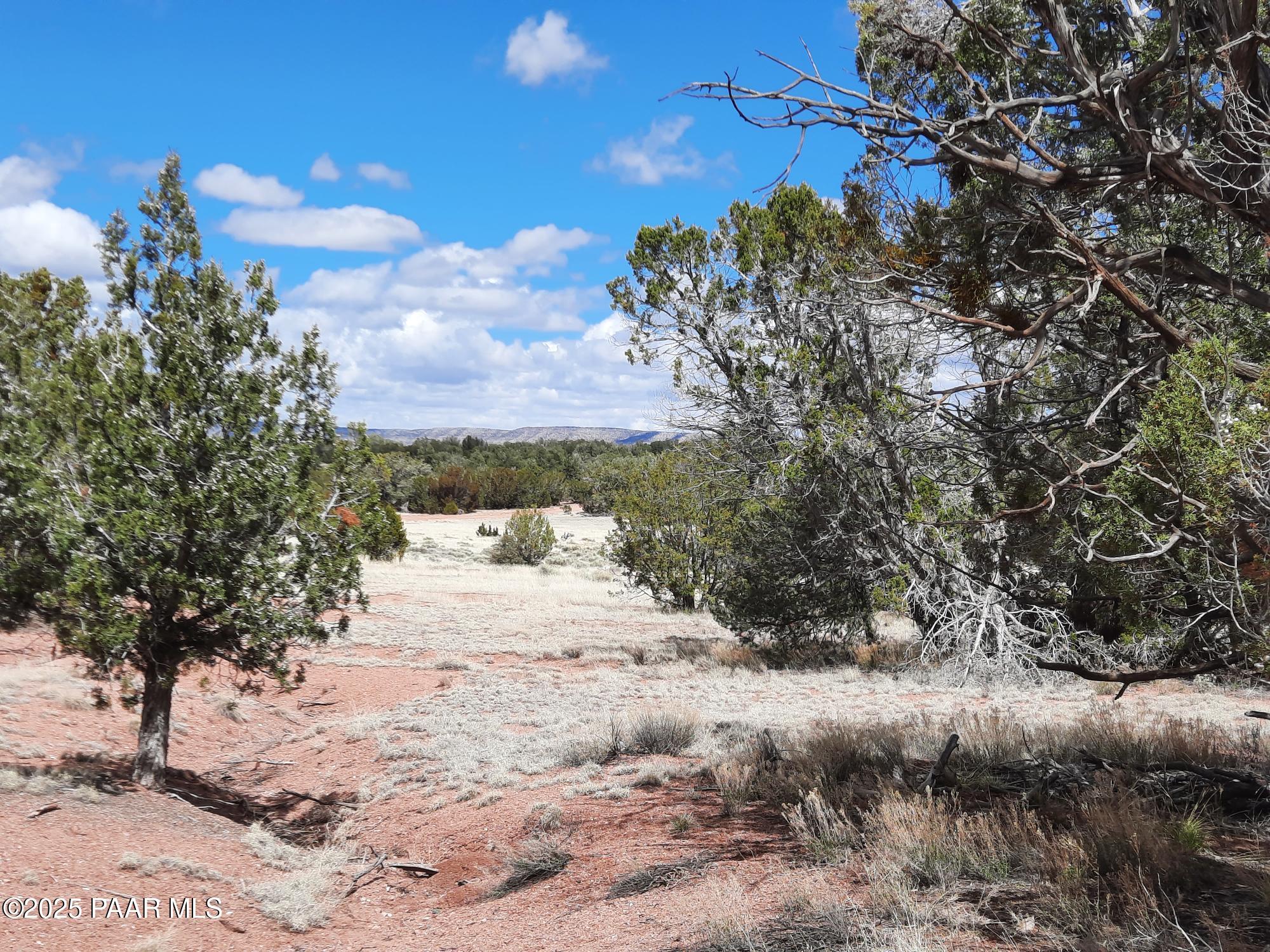 55660 La Bruja Road Seligman, AZ 86337 - Photo 7 of 9 20240325_130154