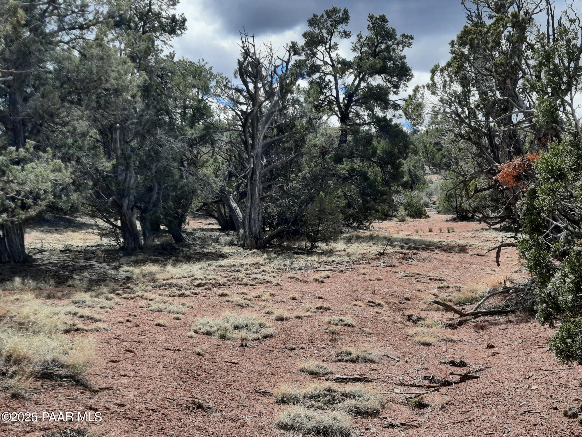 55660 La Bruja Road Seligman, AZ 86337 - Photo 8 of 9 20240325_130248