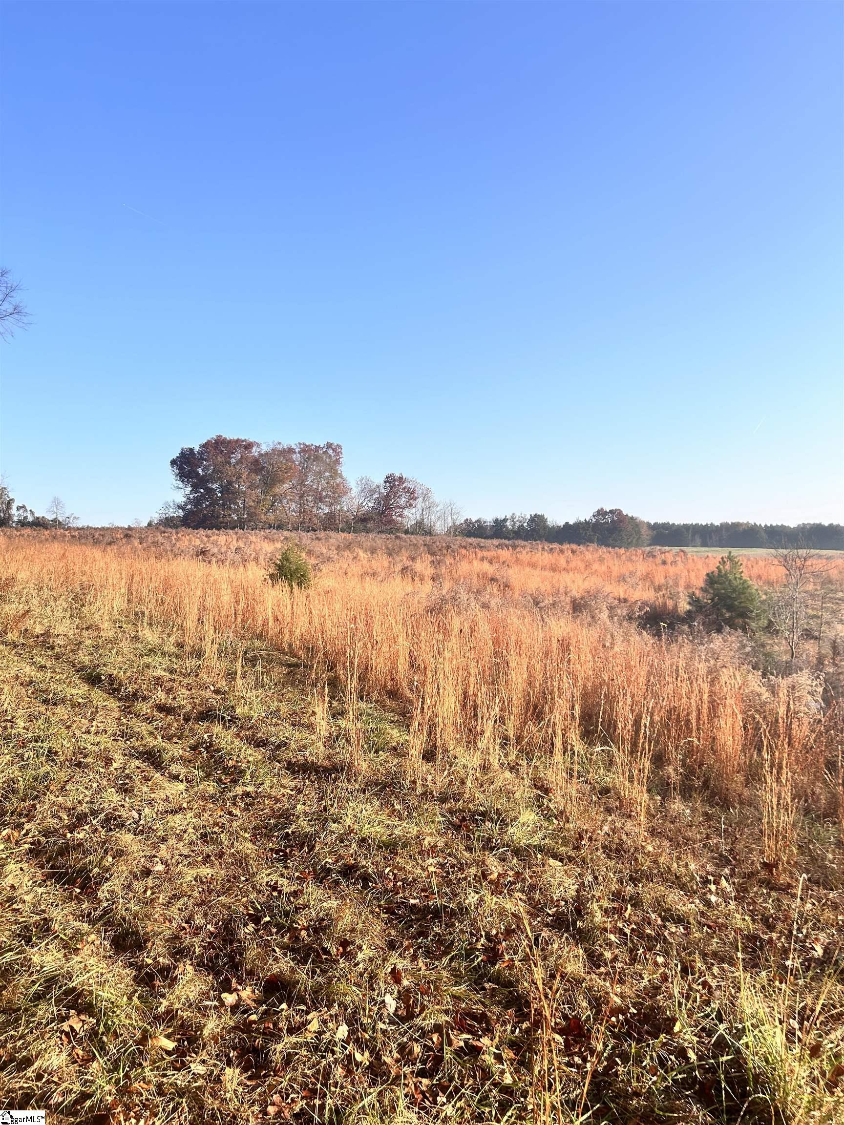 0 Rocky River Iva, SC 29655 - Photo 9 of 22