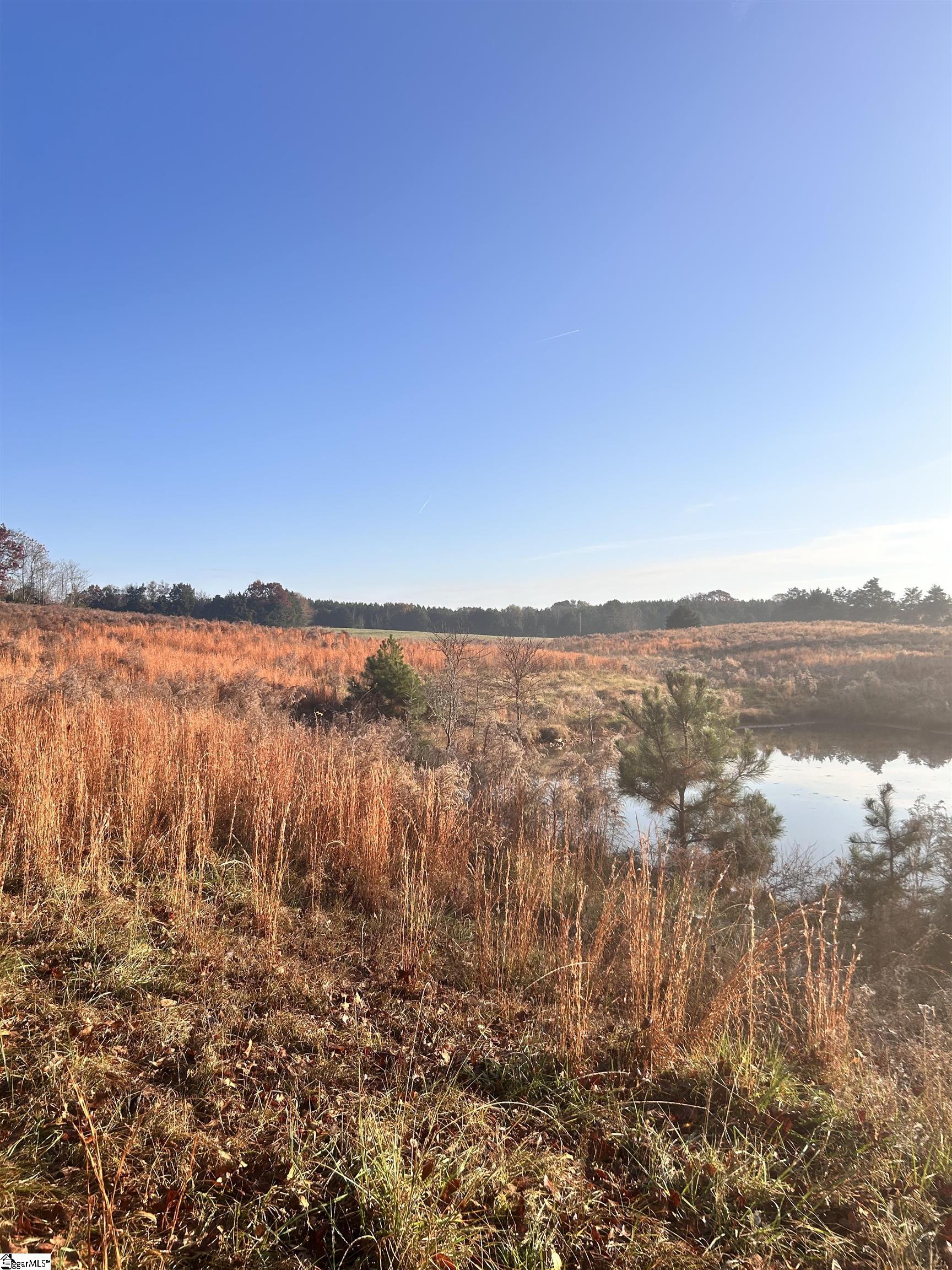 0 Rocky River Iva, SC 29655 - Photo 10 of 22