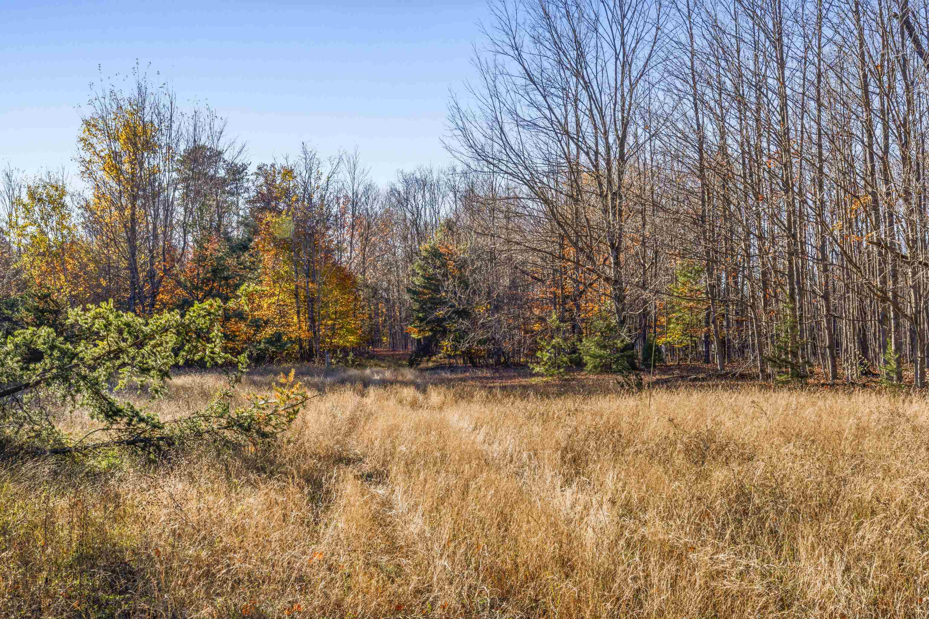 0 South Weldon Road Beulah, MI 49617 - Photo 4 of 37