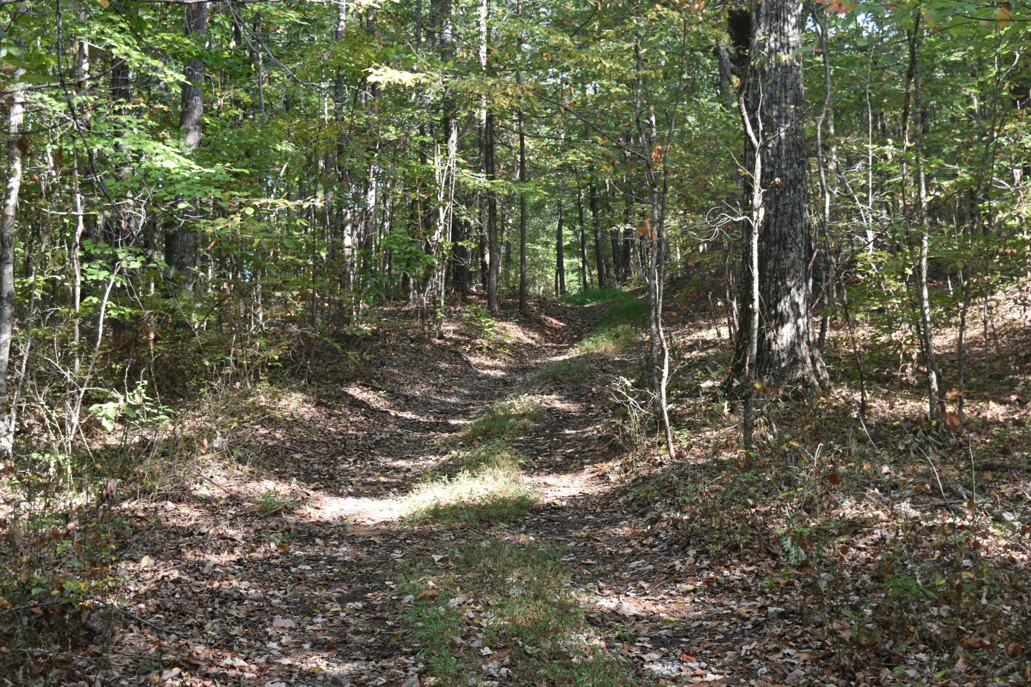 0 Stage Coach Road Sewanee, TN 37375 - Photo 36 of 50 Gallery Image 36
