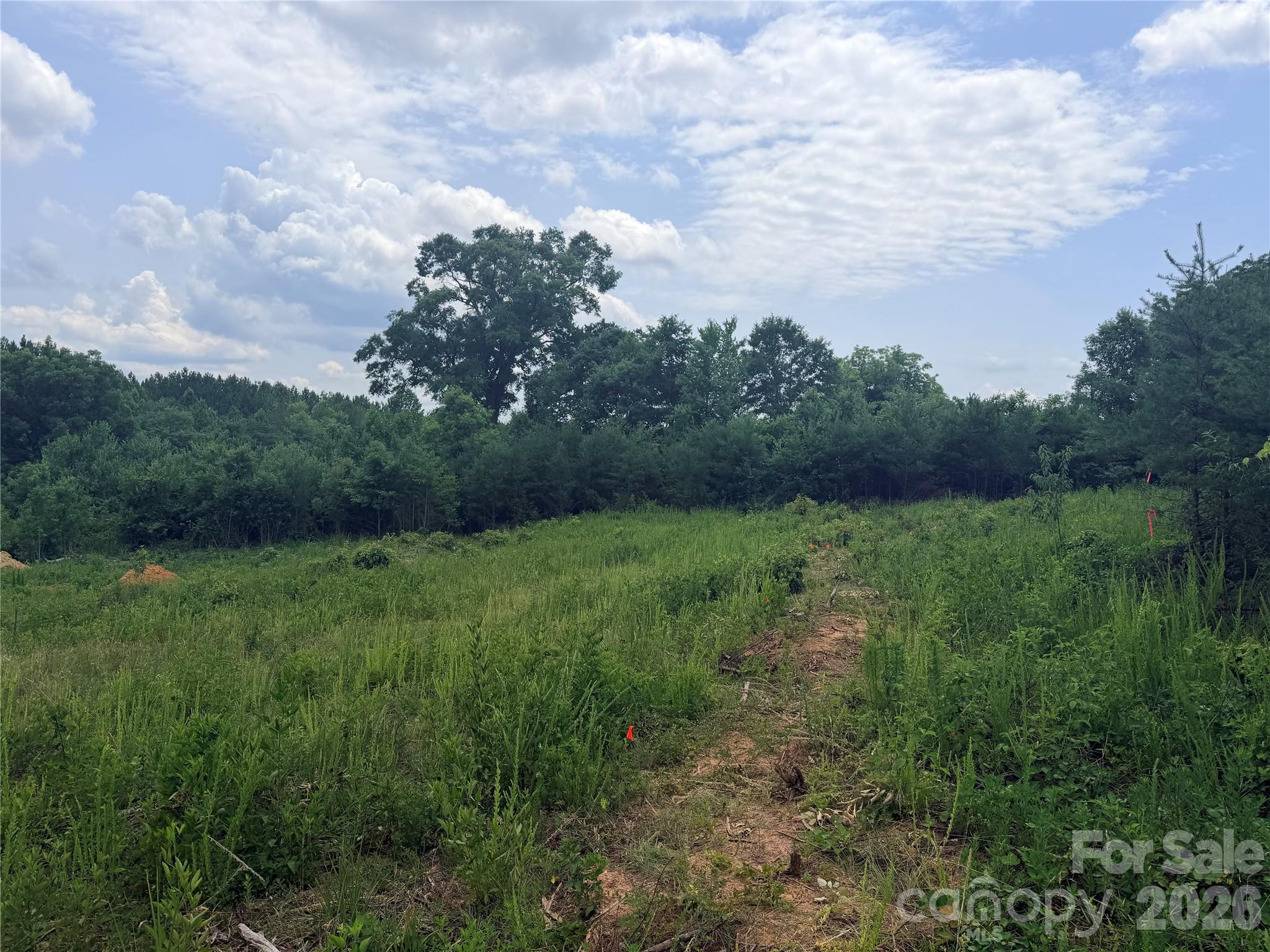 0 Doggett Grove Road, Unit 1 Forest City, NC 28043 - Photo 4 of 4