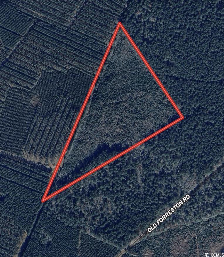 24.71-acres-tbd Old Forreston Road Greeleyville, SC 29056 - Photo 5 of 5 Map location