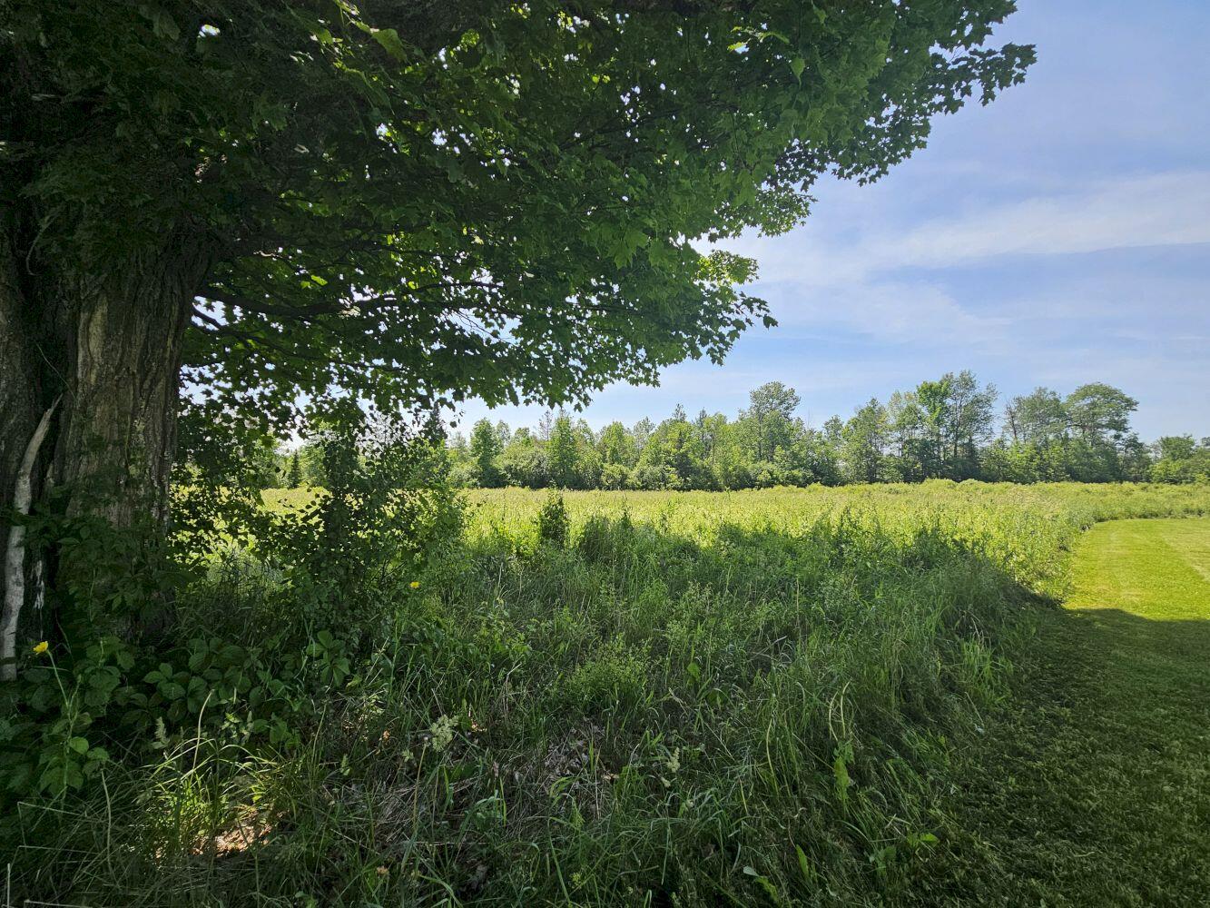 108 Lakewood Road Madison, ME 04950 - Photo 62 of 72 62