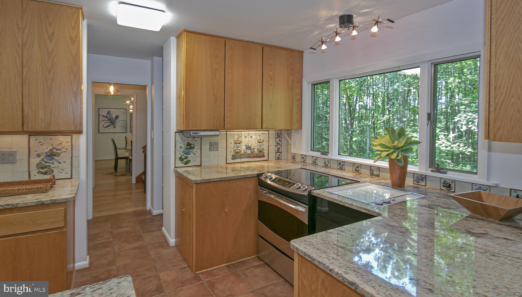 634 Springvale Road Great Falls, VA 22066 - Photo 13 of 37 Kitchen