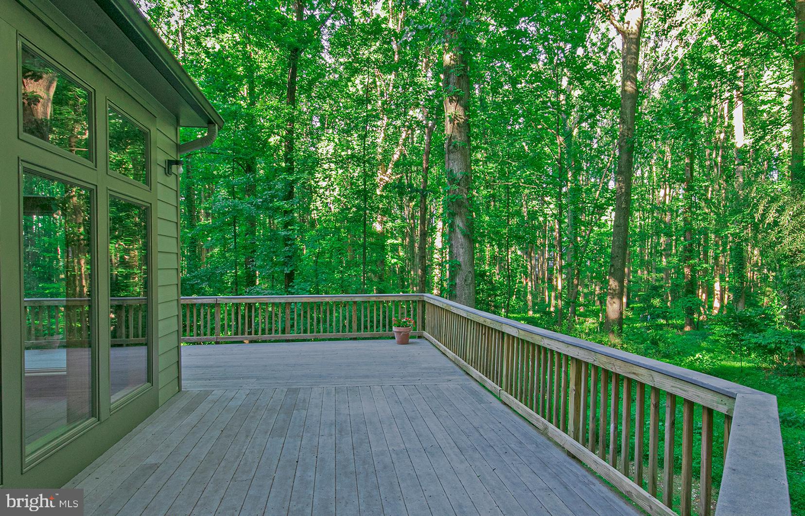 634 Springvale Road Great Falls, VA 22066 - Photo 19 of 37 Wrap around deck