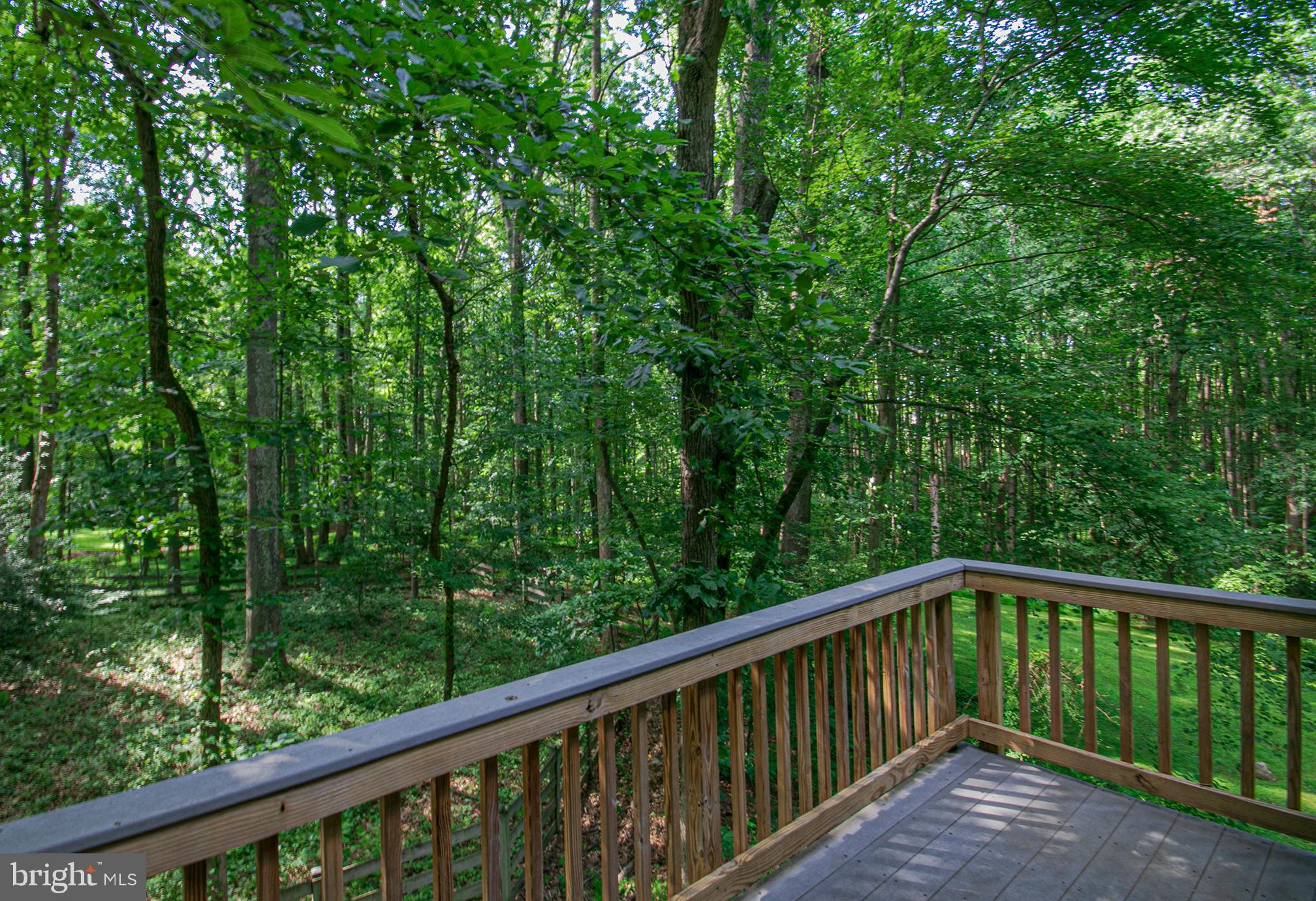634 Springvale Road Great Falls, VA 22066 - Photo 30 of 37 Balcony off bedroom