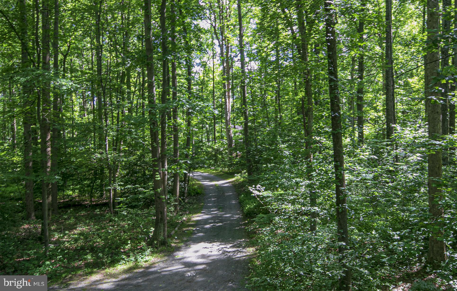 634 Springvale Road Great Falls, VA 22066 - Photo 36 of 37 Driveway view