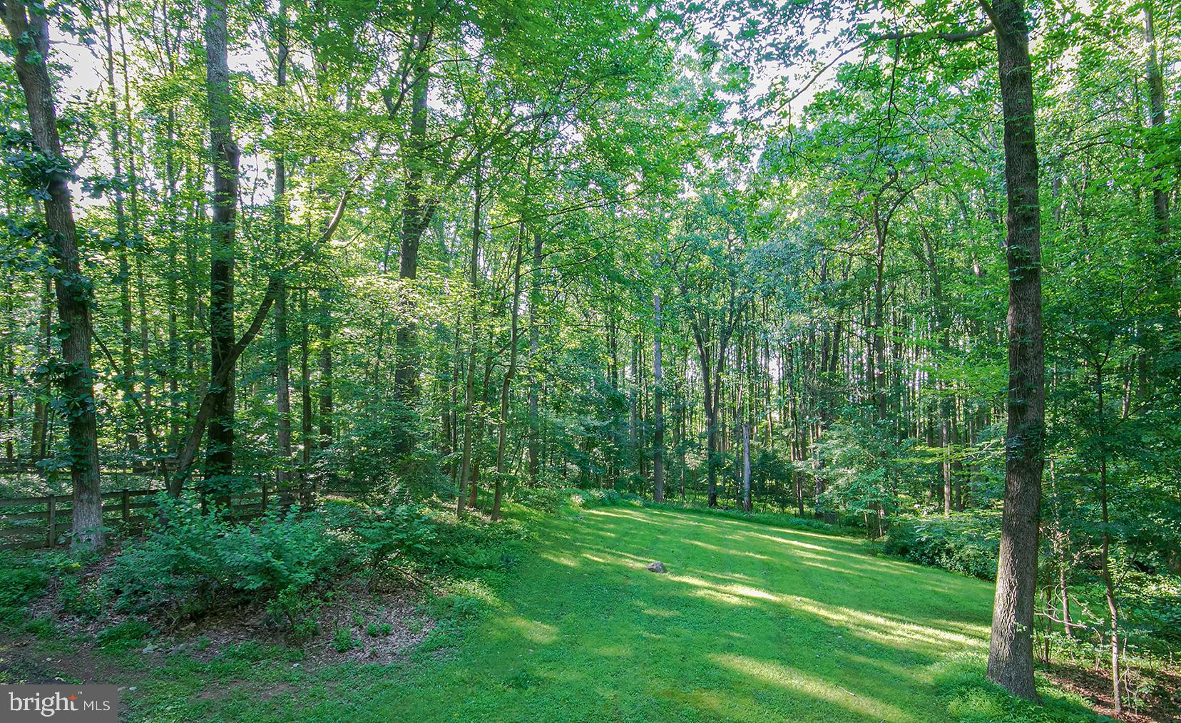 634 Springvale Road Great Falls, VA 22066 - Photo 37 of 37 Back yard