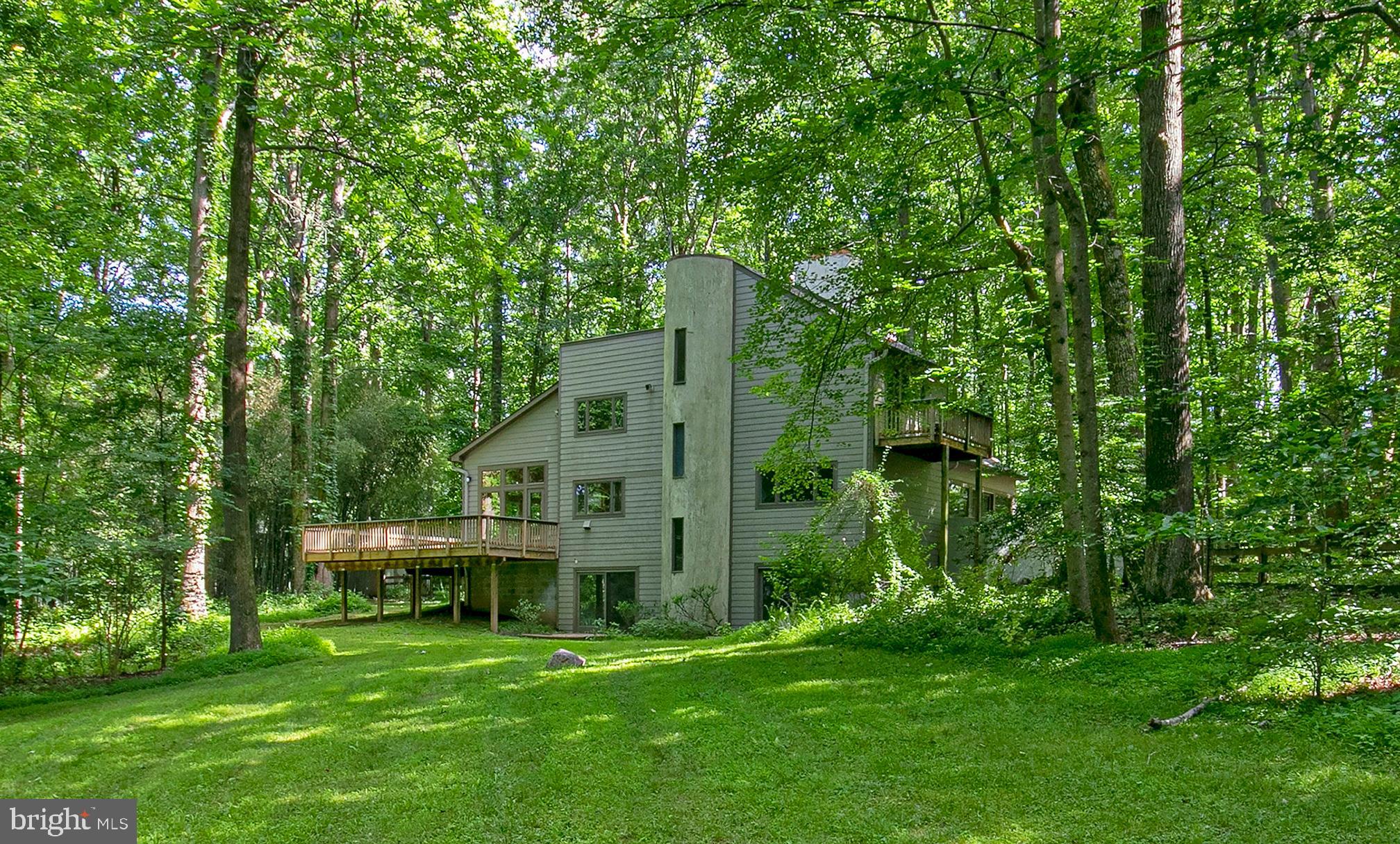 634 Springvale Road Great Falls, VA 22066 - Photo 6 of 37 Back View Open Back Yard