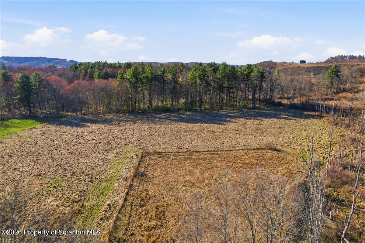 519 Sutton Road New Milford, PA 18834 - Photo 66 of 80 a view of a yard with wooden fence