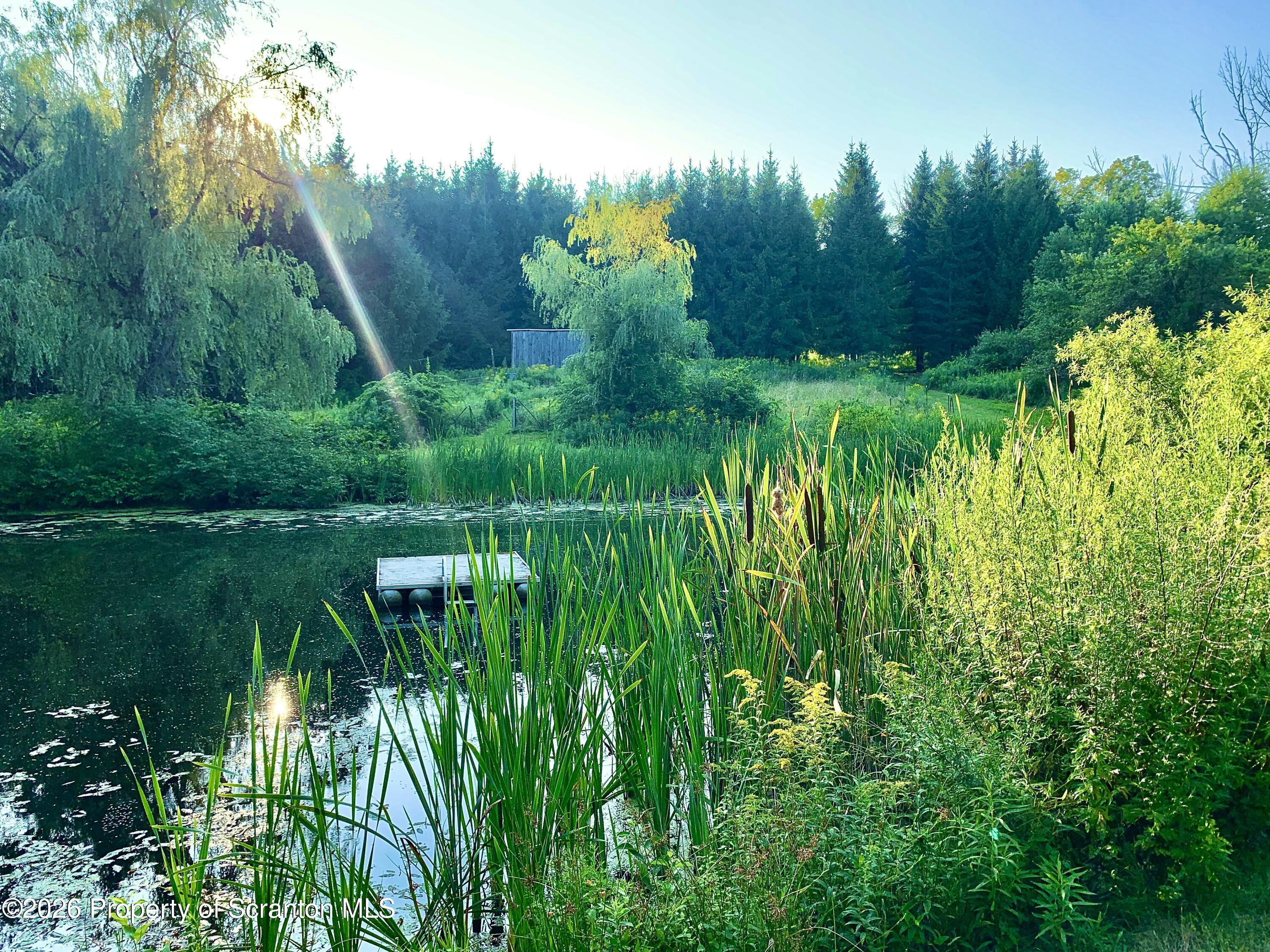 519 Sutton Road New Milford, PA 18834 - Photo 69 of 80 IMG_8639