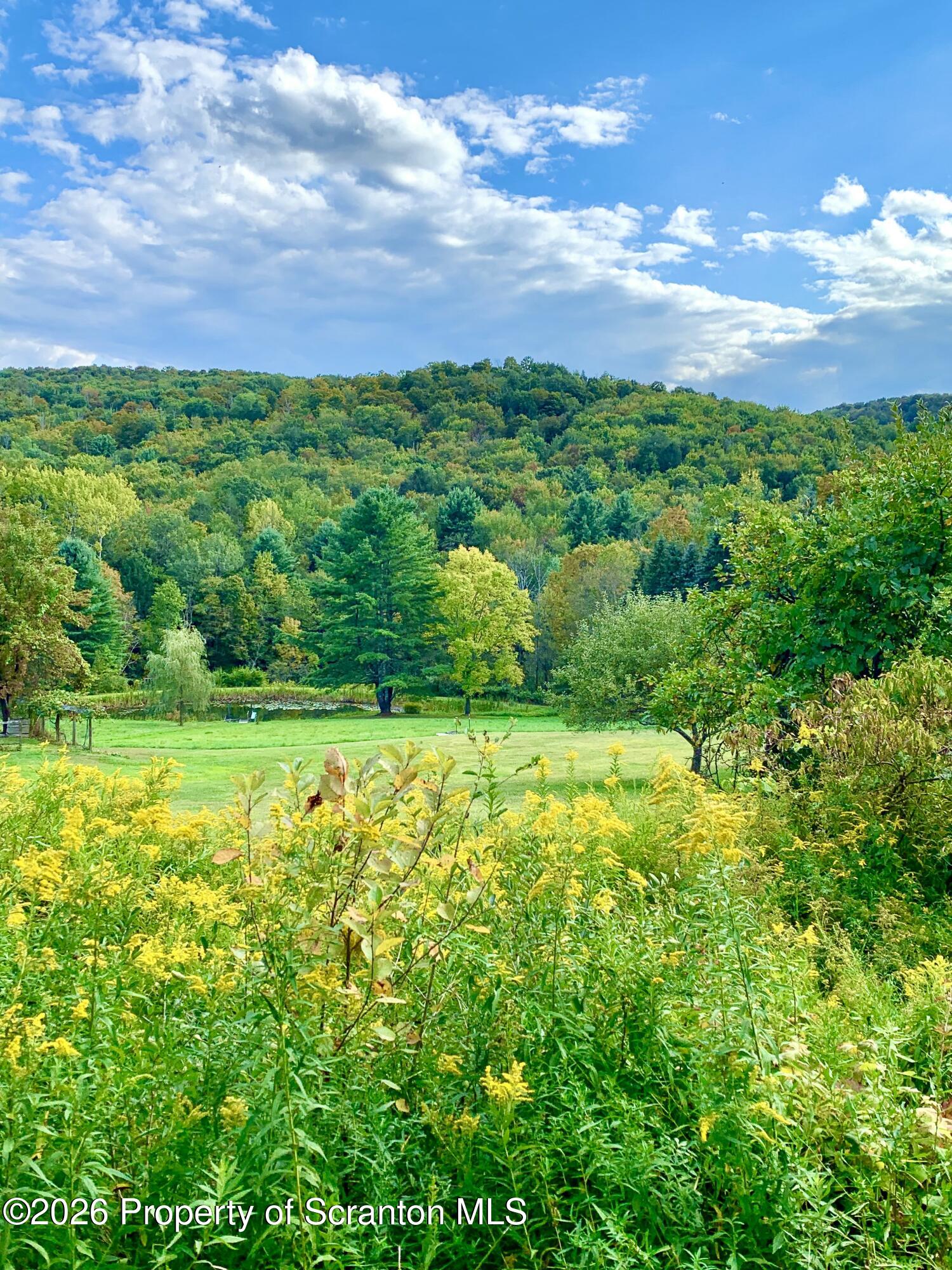 519 Sutton Road New Milford, PA 18834 - Photo 76 of 80 a view of a yard with an trees