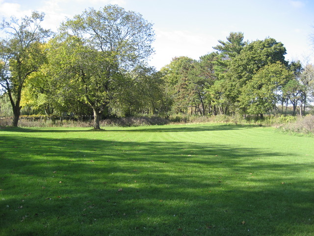 210 South Ridge Road Lake Forest, IL 60045 - Photo 13 of 22 a view of a park with trees and a big yard