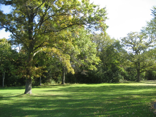 210 South Ridge Road Lake Forest, IL 60045 - Photo 6 of 22 a grassy field with trees in the background