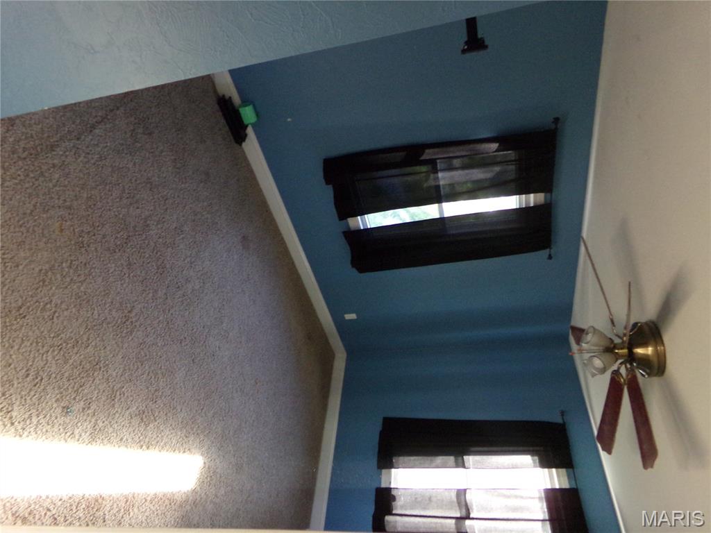 119 Fox Run Sparta, IL 62286 - Photo 11 of 22