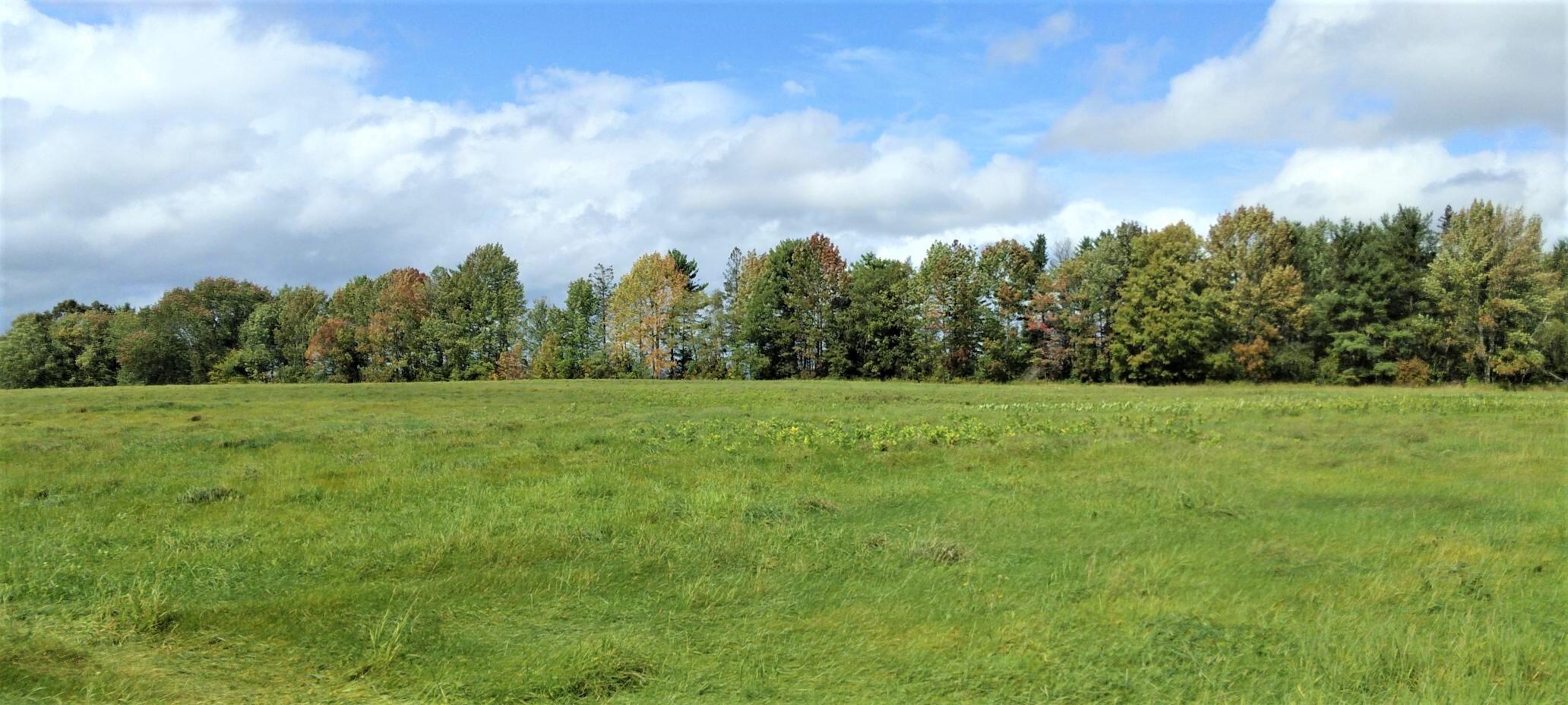 0 Thurston Hill Road Madison, ME 04950 - Photo 5 of 5 20210923_125101 (2)