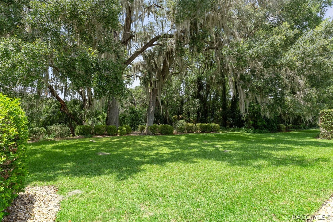3116 North Stratham Point Hernando, FL 34442 - Photo 38 of 50