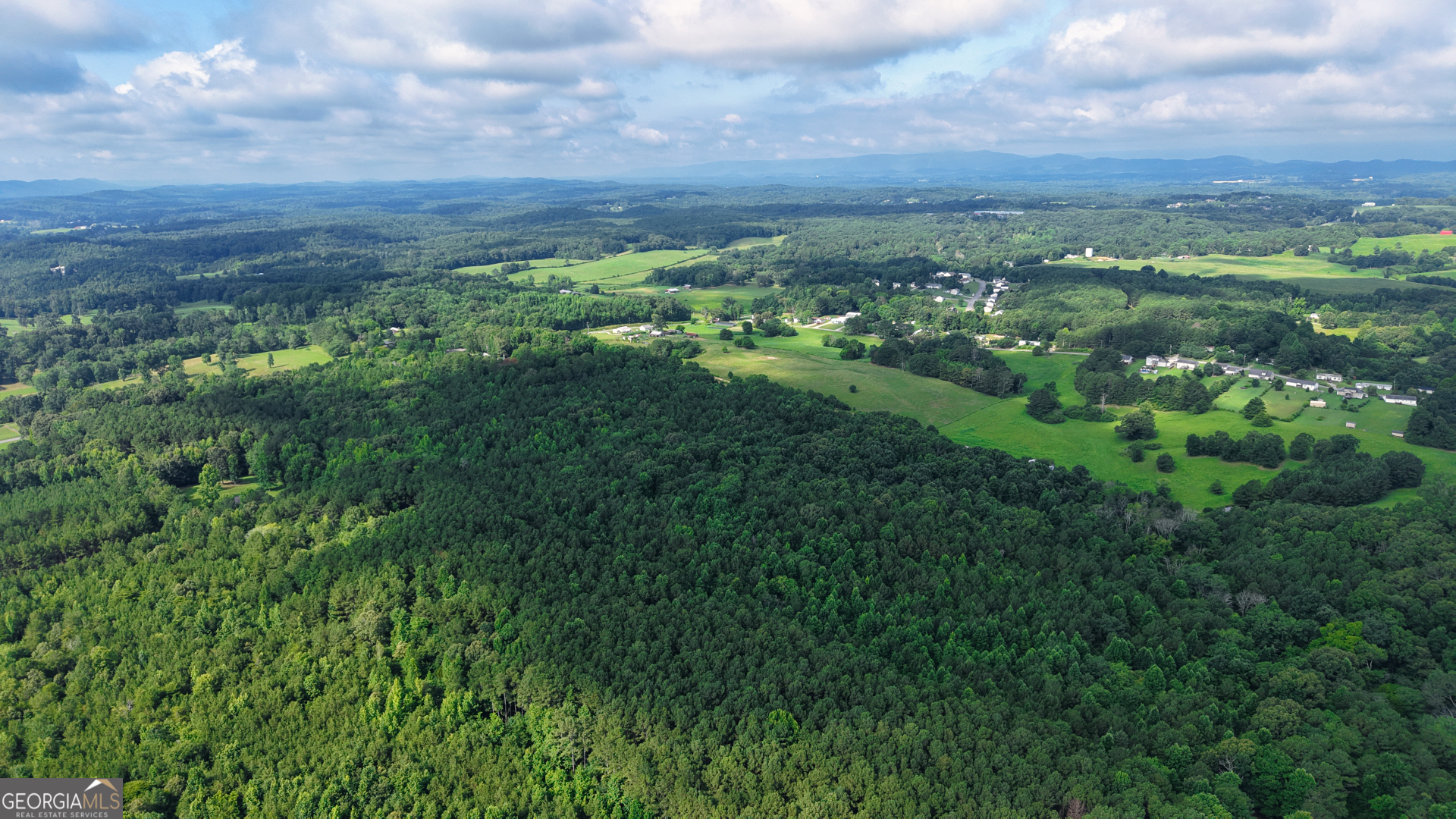 0 Temperance Hall Road Rock Spring, GA 30739 - Photo 10 of 18