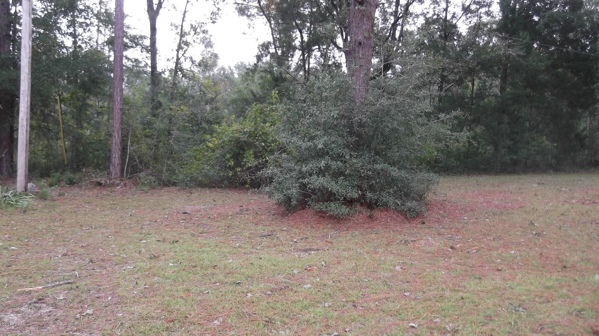 2484 Lawrence Road Marianna, FL 32446 - Photo 5 of 18 Gallery Image 5