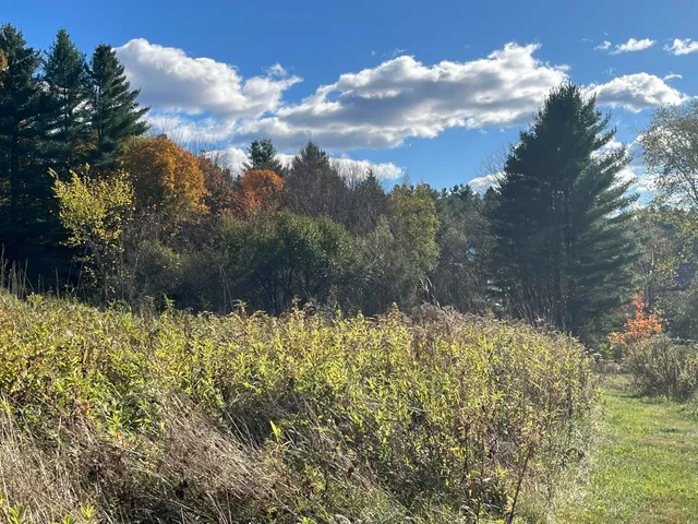 $359,000 | 0 Old Farm Road, Unit C, Stowe, VT 05672