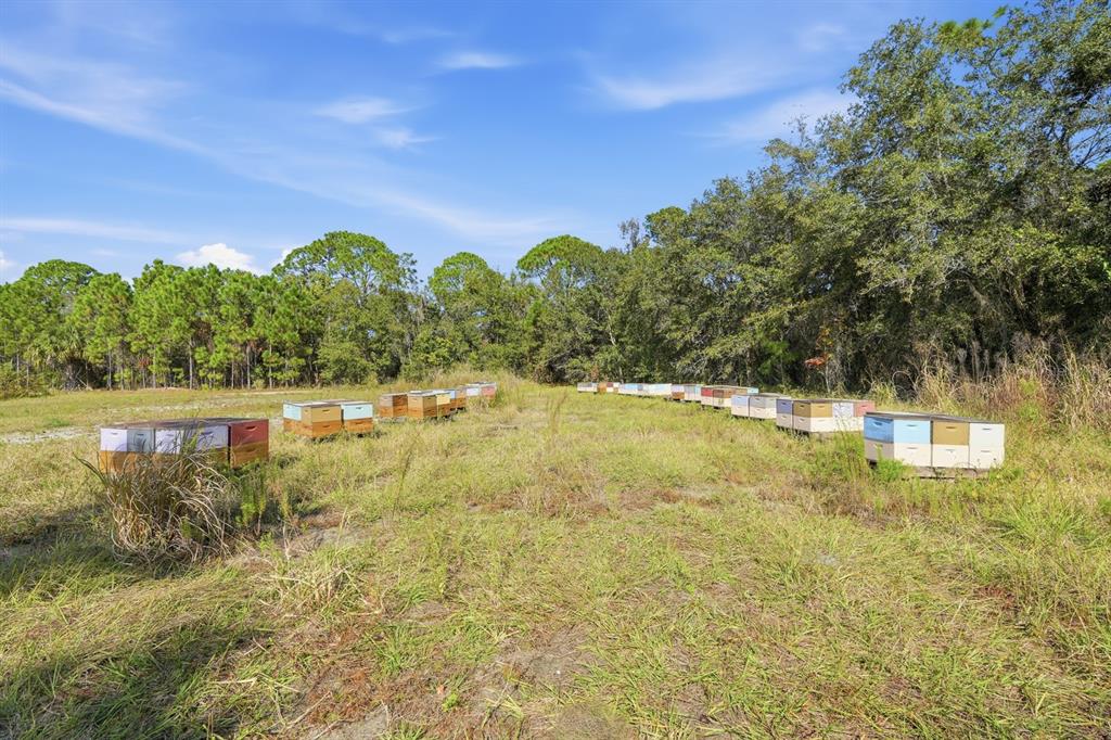 270 Wright Grove Road Oak Hill, FL 32759 - Photo 15 of 17 a view of swimming pool with an outdoor space and seating area