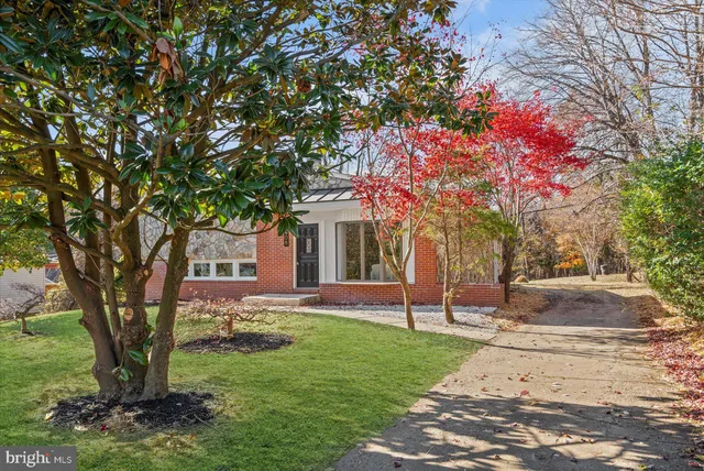 a tree in front of a white house